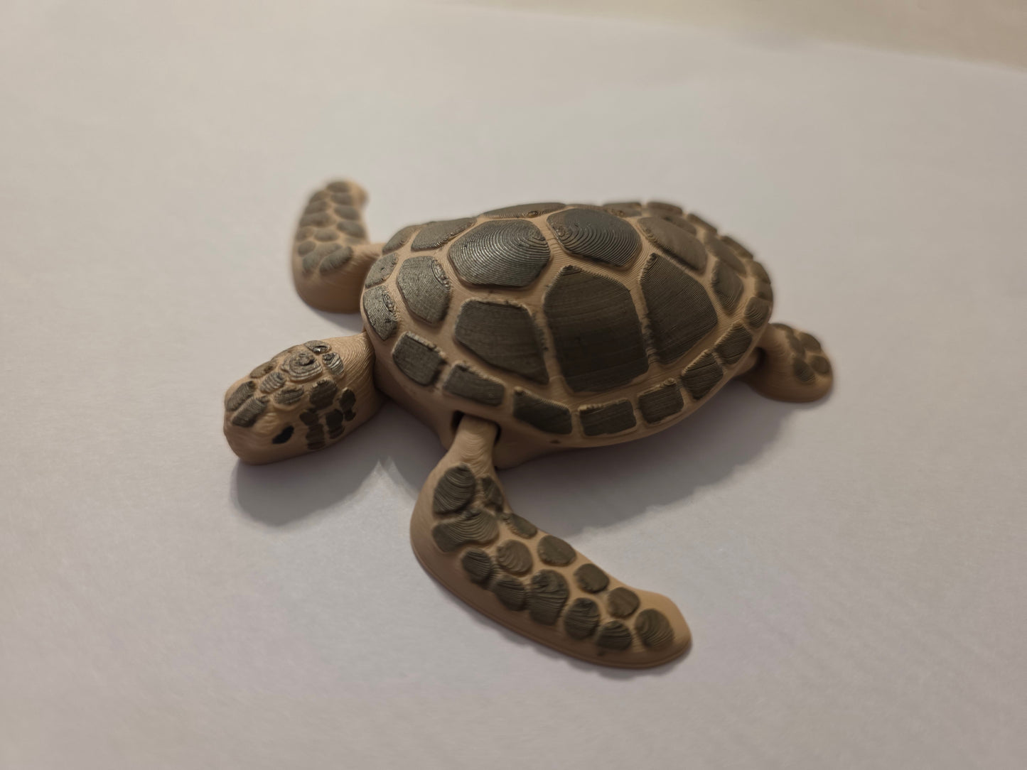Sea Turtle
