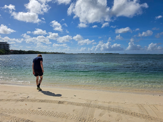 Wreck Dives & White Sands: Our Eagle Beach Aruba Escape