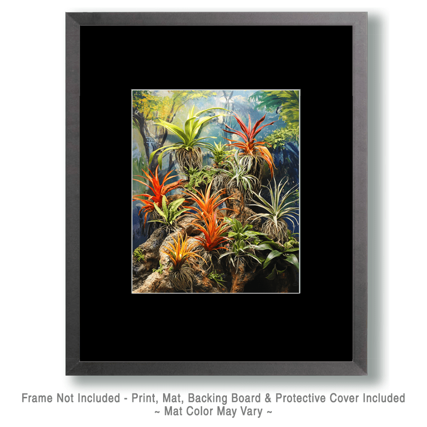 Air Plant Bromeliads with a Monkey - Bromeliad Air Plant Art Prints - 8"x10" Artwork for 11"x14" Frame