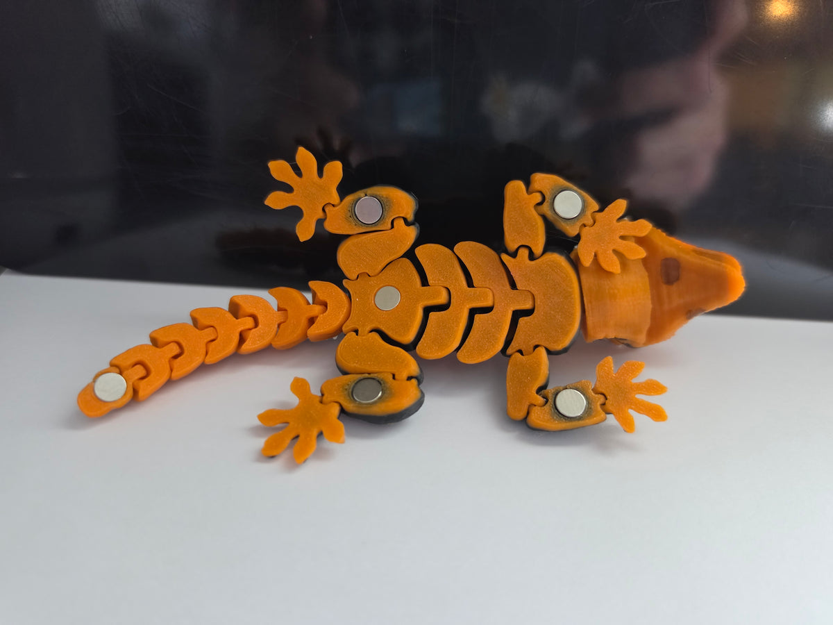 "Chibi" Iguana