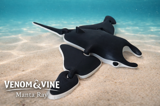 Manta Ray