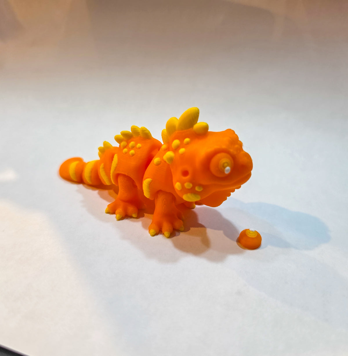 "Chibi" Iguana