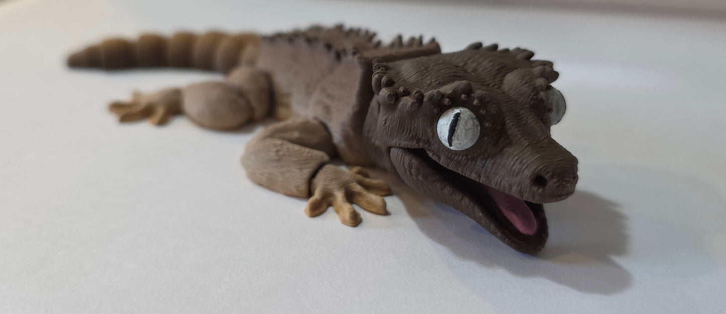 Crested Gecko / "Wildwood Shadecrest"