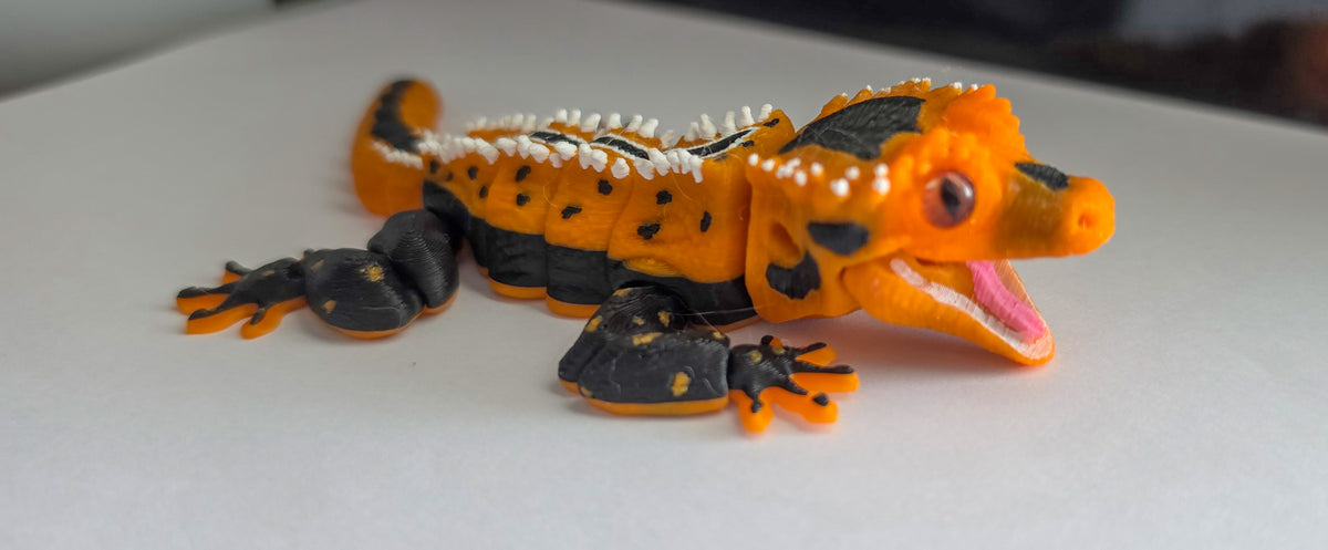 Halloween Harlequin Crested Gecko