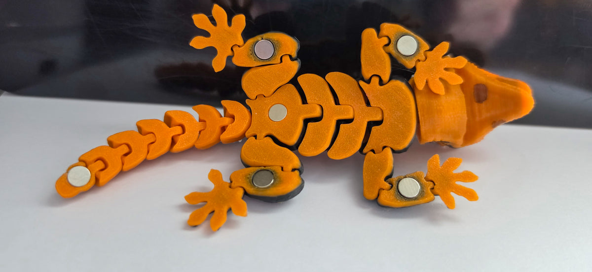 Halloween Harlequin Crested Gecko