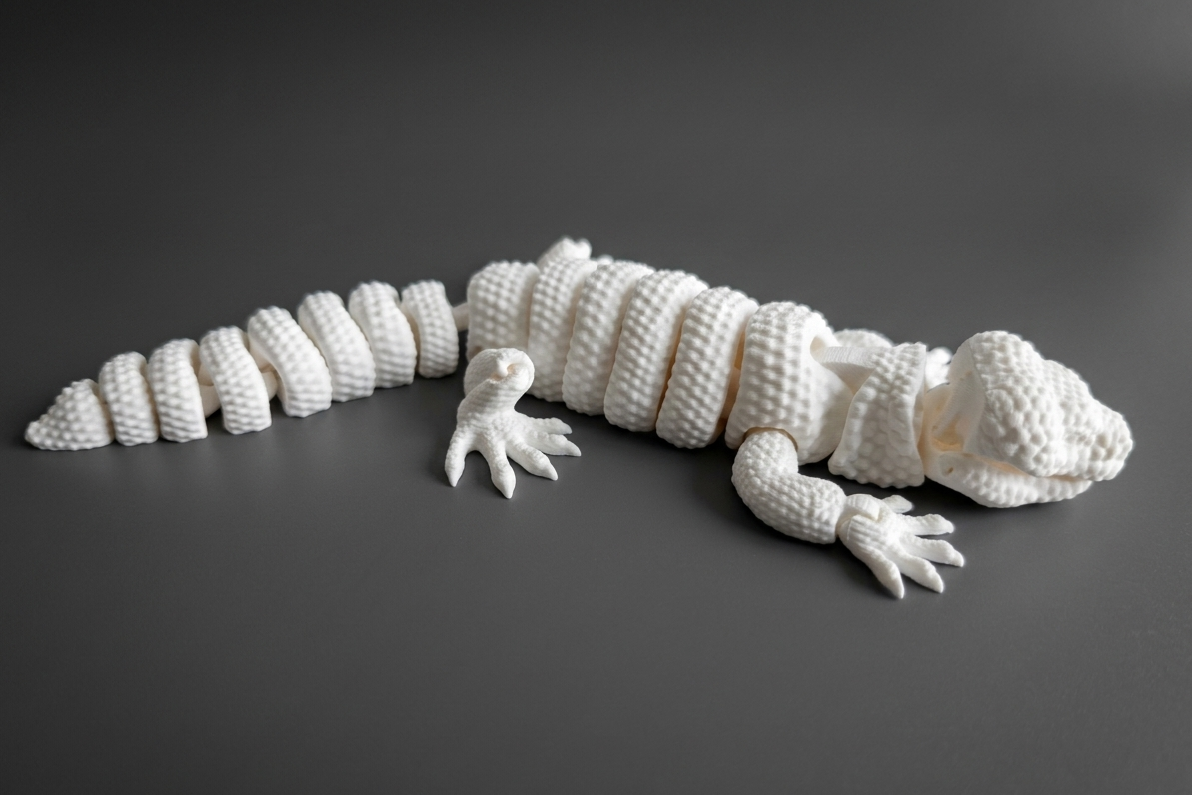 Gila Monster | Paint Your Own Series