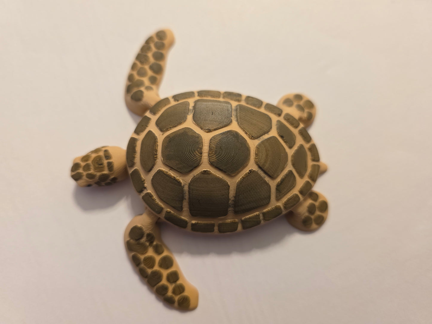 Sea Turtle