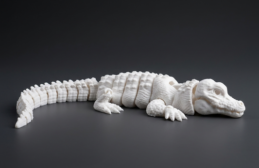 Alligator | Paint Your Own Series