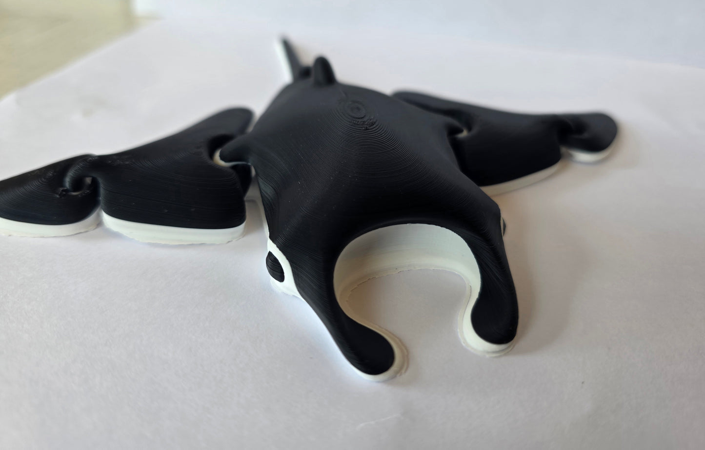Manta Ray