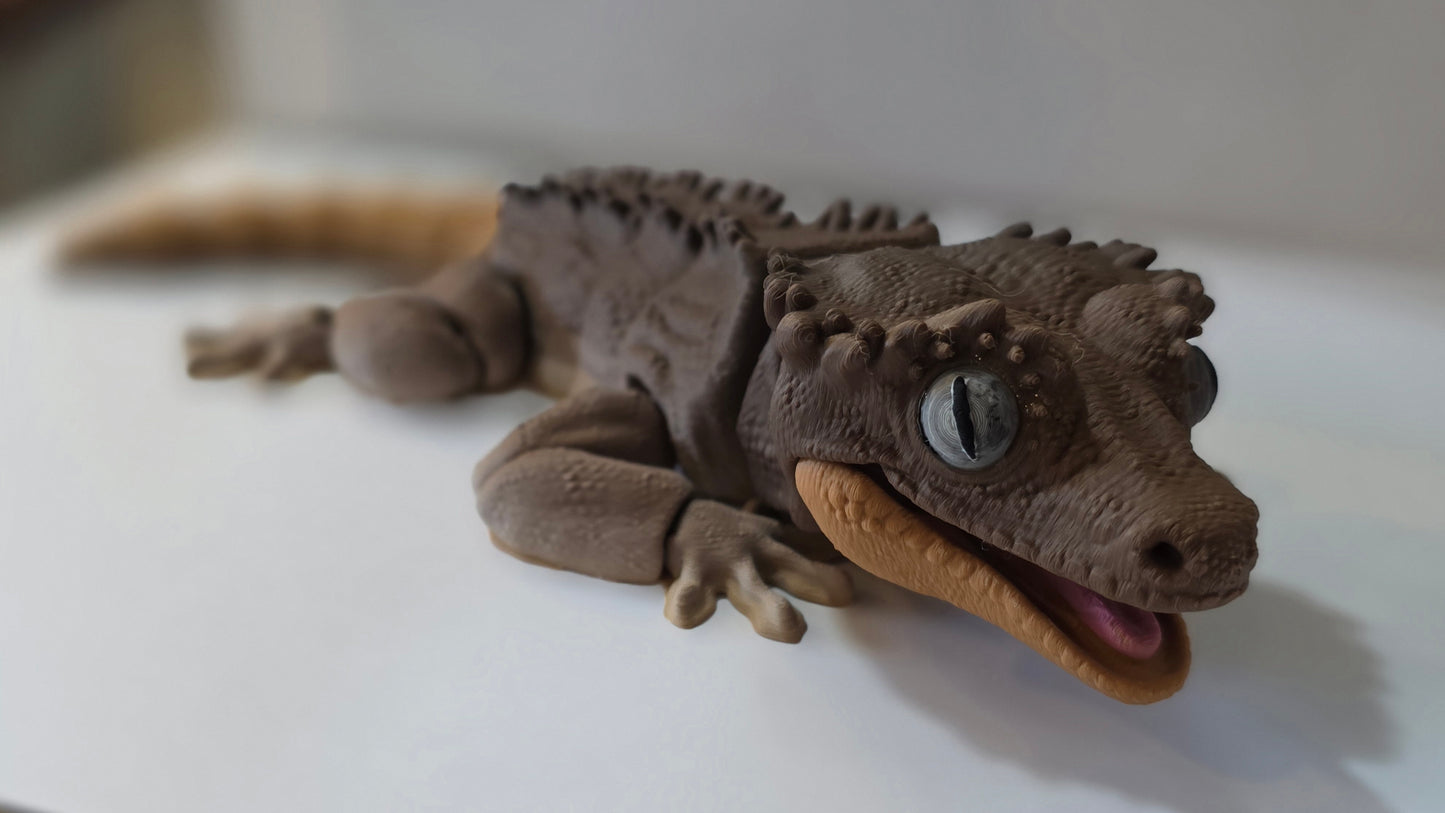 Crested Gecko / "Wildwood Shadecrest"