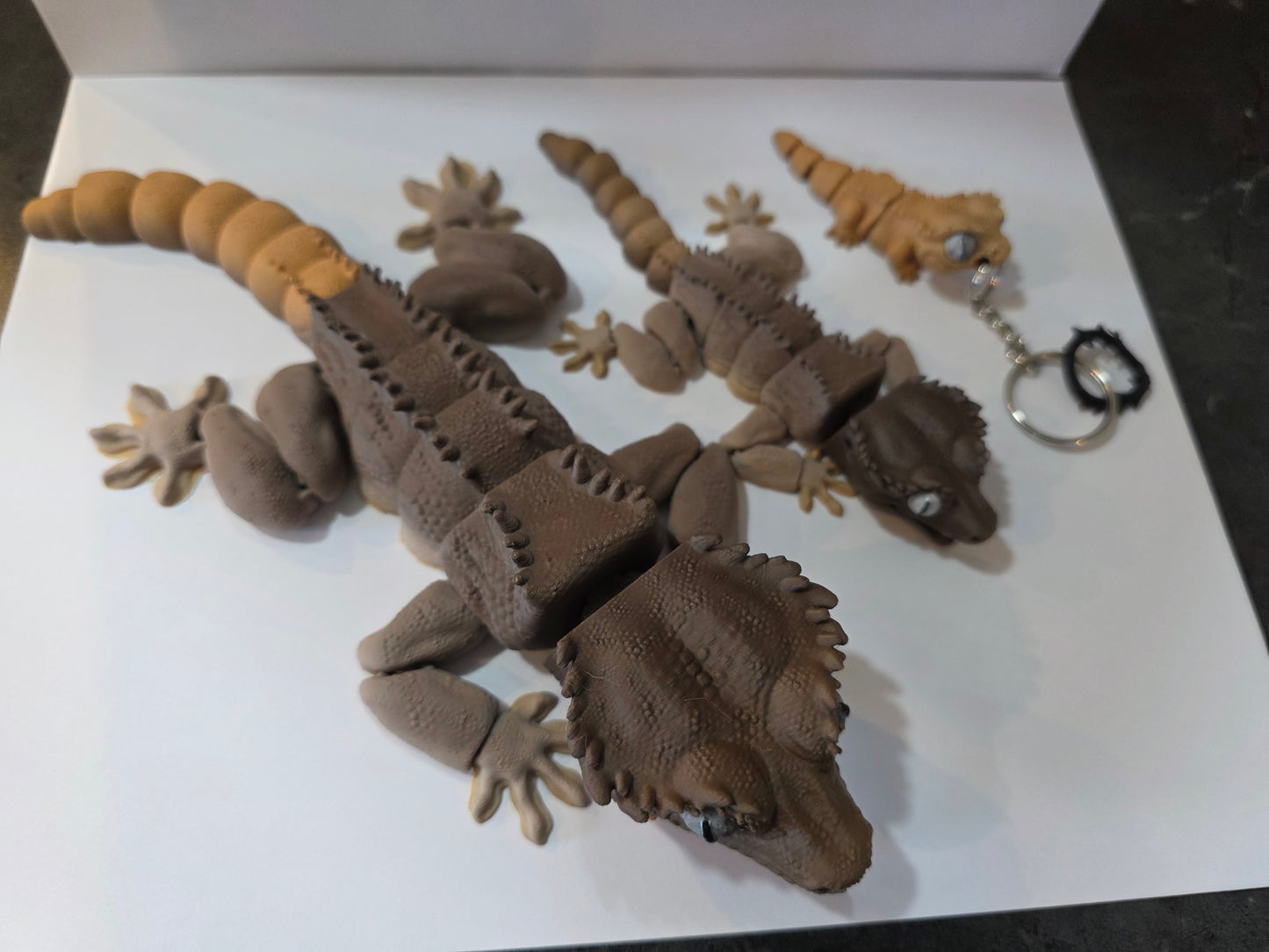 Crested Gecko / "Wildwood Shadecrest"